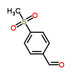 广西三八网澳门资料